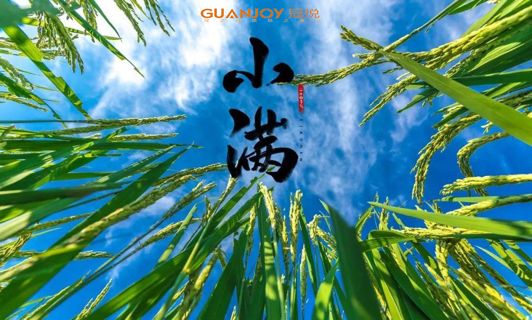 思源醫(yī)療教你小滿怎樣養(yǎng)生！