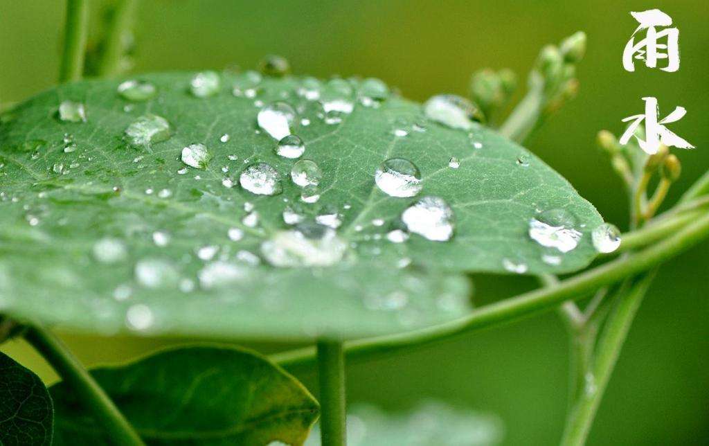 雨水！